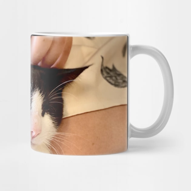 Cat Cafe: Fergie (gifts) by VisualSpice